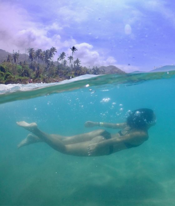 Swimming Where the Jungle Meets the Ocean