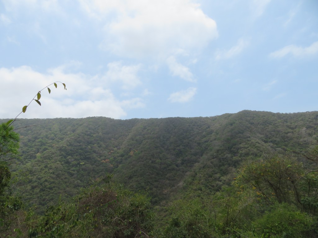 Ridge along the trail from Calabazo to Playa Brava